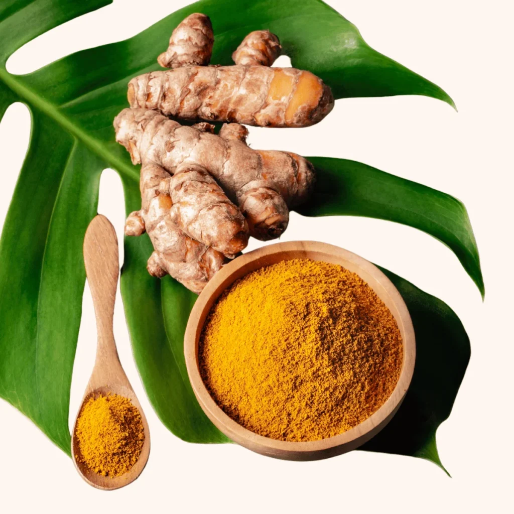 Turmeric Powder and Fresh Turmeric Root