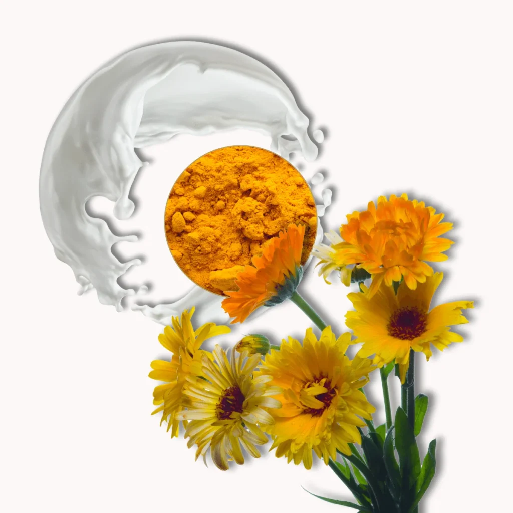 turmeric and dried calendula petals 