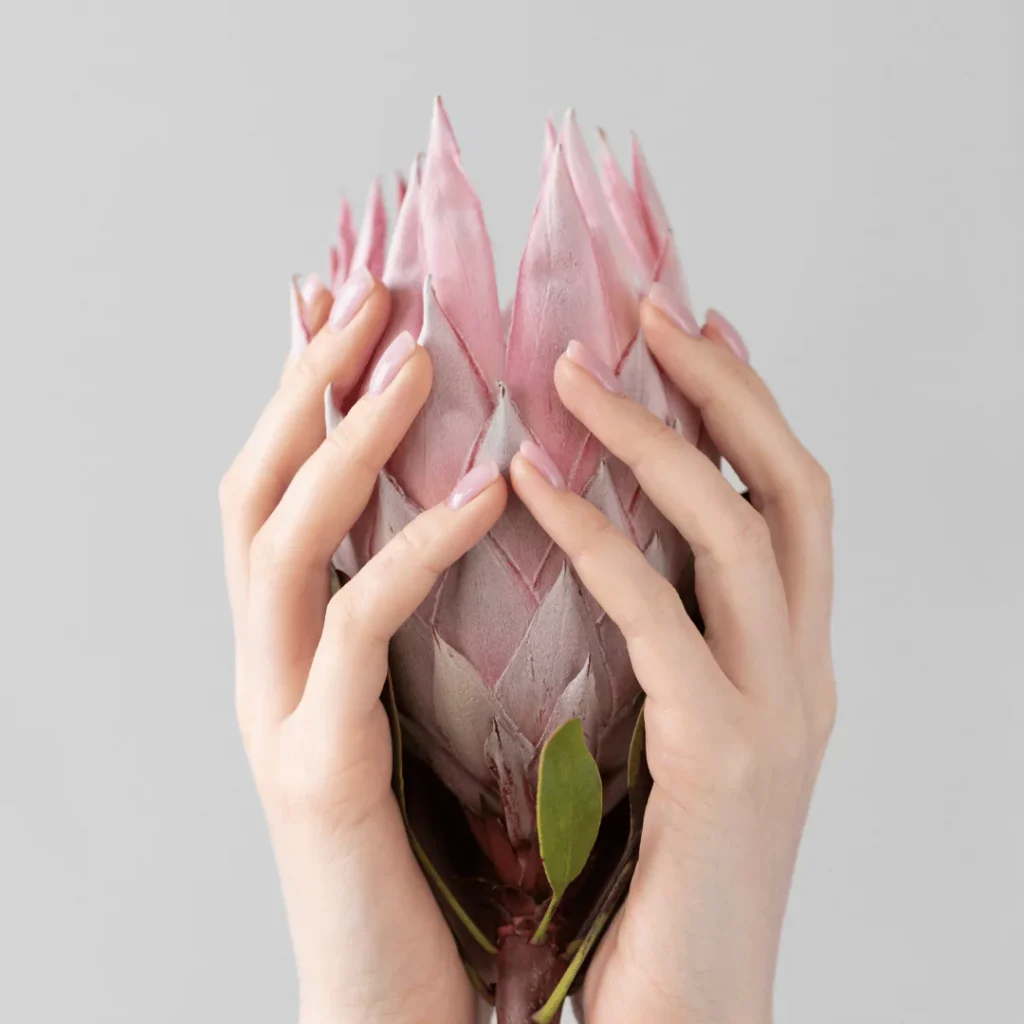 hands holding a delicate pink flower Sunday self-care quotes