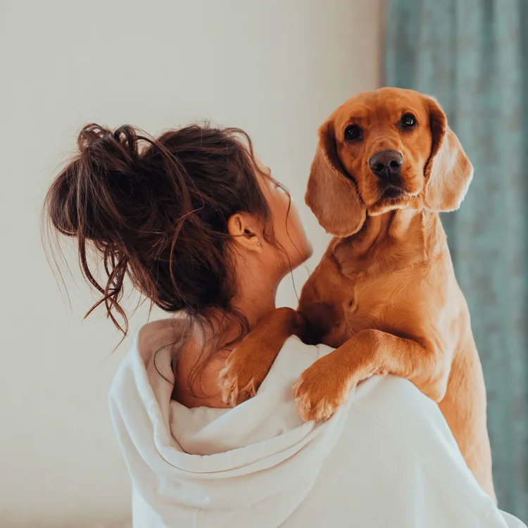 A Dog Getting Carried by its Owner